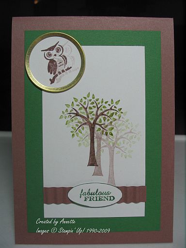 Forest Friends Cocoa