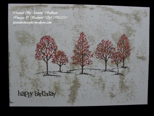 Acrylic Block Backgrounds