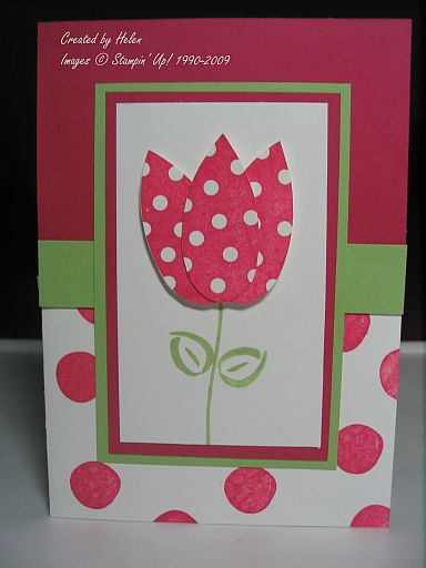 Pick a Petal Tulip HELEN