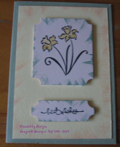 simply spring daffodils