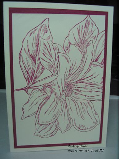 From the Garden Pomegranate Vanilla From the Garden Pomegranate Vanilla