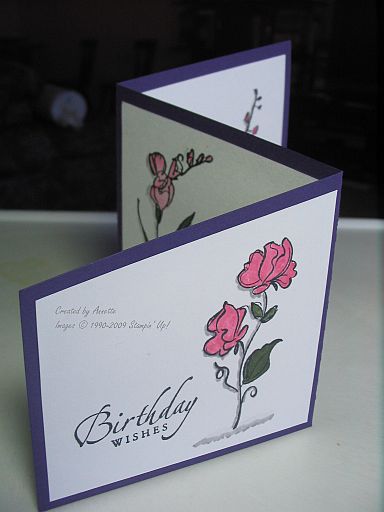 Trifold angle Echoes