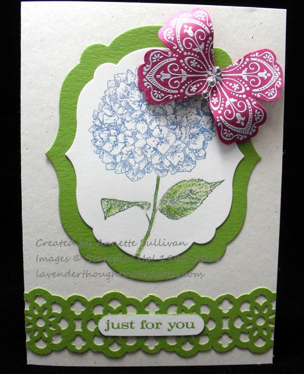 Mixed Bunch Butterfly