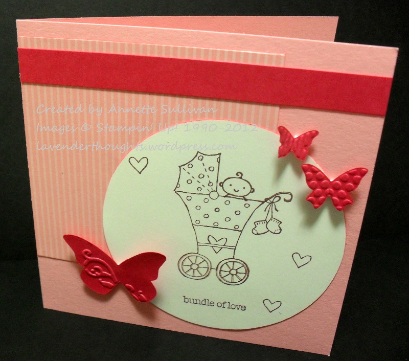 Baby Bundle Pretty in&nbsp;Mambo