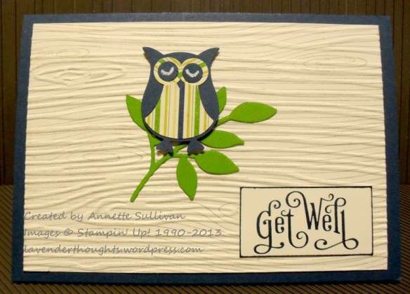 Perfectly Penned Owl Tissue Box
