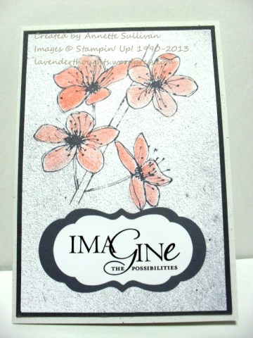 First Edition Blossoms Coral Black White