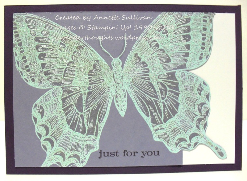 Swallowtail Pool Party&nbsp;Wonder