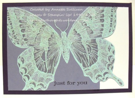 Swallowtail Pool Party Wonder