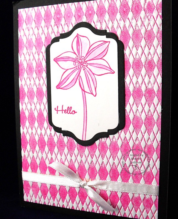 Secret Garden Black Mambo&nbsp;Argyle