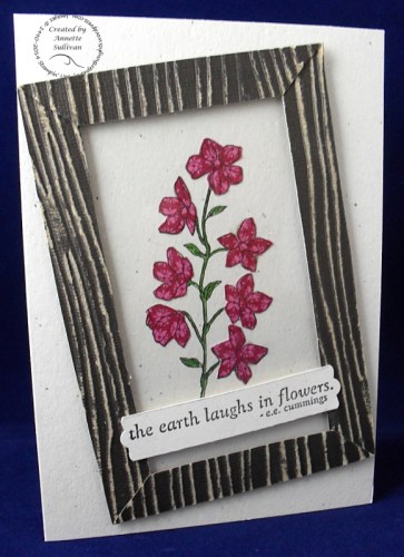 Peaceful Petals Raspberry Woodgrain