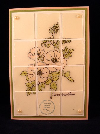 Sweetbriar Rose Blush Olive