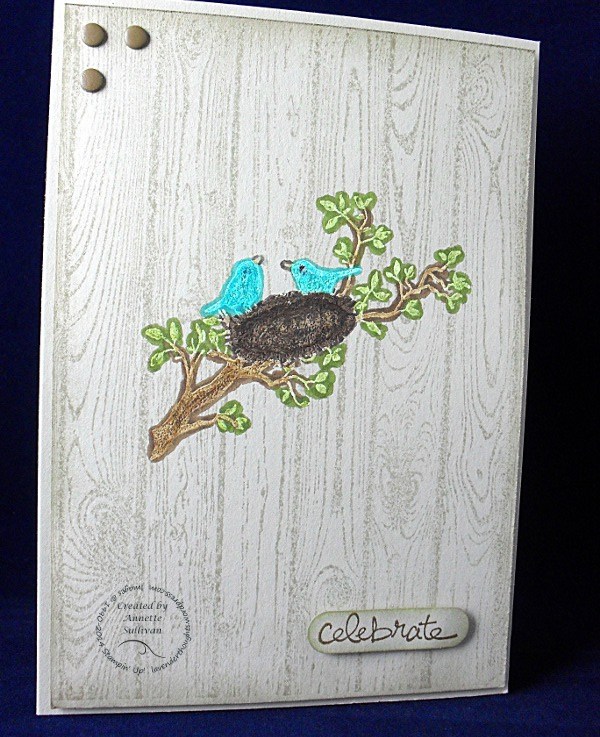 World of Dreams Sahara Embossed&nbsp;Blendabilities