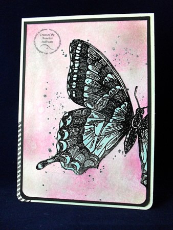 Swallowtail Marina Mambo