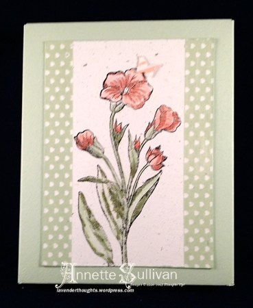 Butterfly Basics Flower Note Cards Box