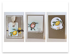 ProductofWeekTH_SAB_week6