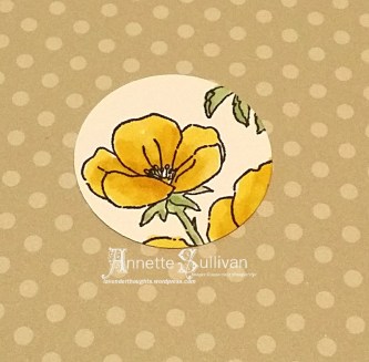 Spotlight - coloured