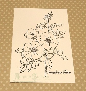 Spotlight - full image