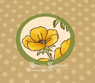 Spotlight - layered punch