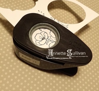 Spotlight - line up in punch