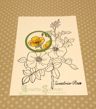 Spotlight - spotlight