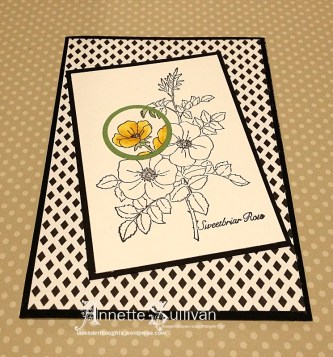 Sweetbriar Rose Daffodil Spotlight
