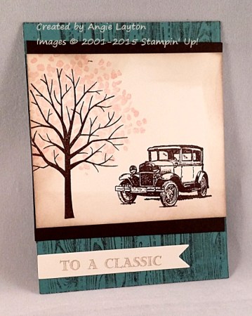 angie_layton_cheltenham_vic