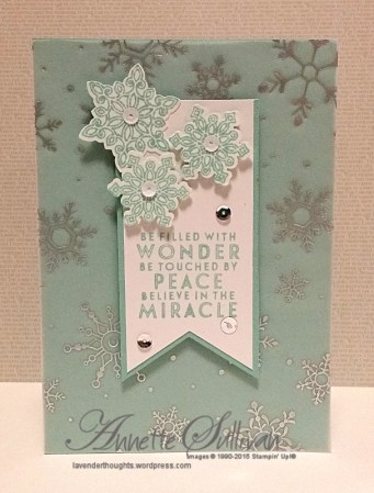 Flurry of Wishes Pool Party