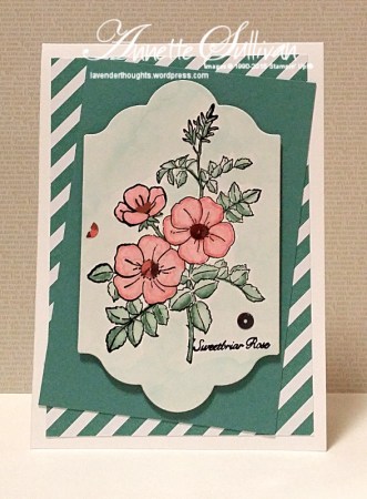 Sweetbriar Rose Blushing Lagoon