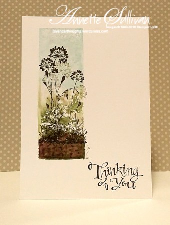 Serene Silhouettes Espresso Wildflowers