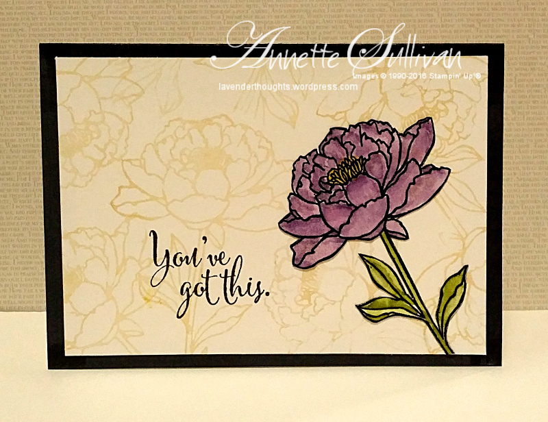 You’ve Got This Concord&nbsp;Linen