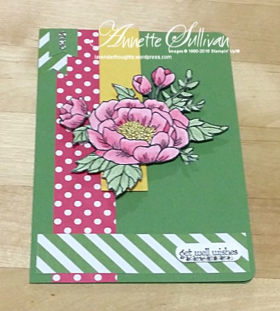 Birthday Blooms Wild Rose Delight