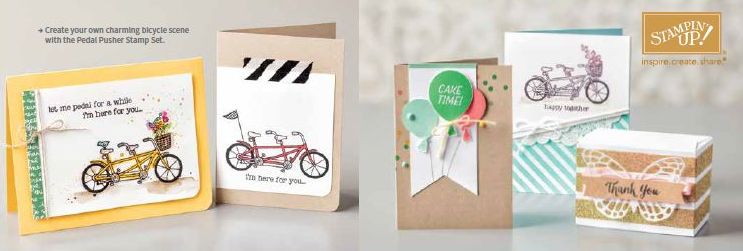 More Sale-A-Bration Products