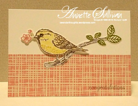 Best Birds Blushing Taupe