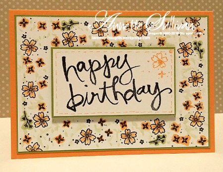 Mixed Borders Peekaboo Pizzazz