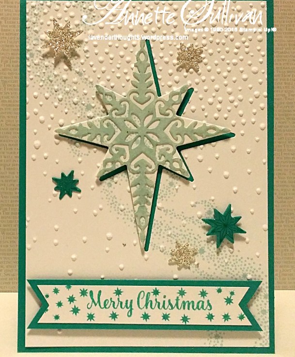 Star of Light Lacy Bermuda&nbsp;Star