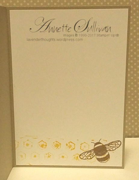 dragonfly-dreams-saffron-sand-bees-inside