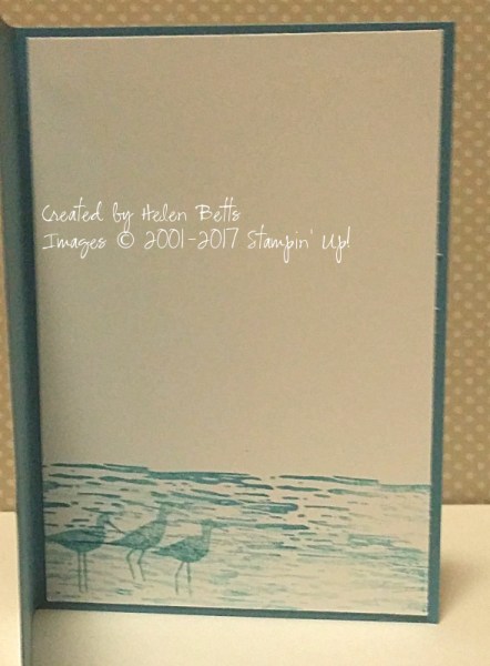 high-tide-celebrate-marina-mist-inside