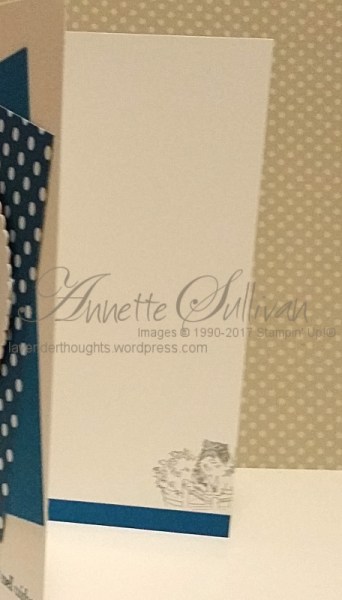 mediterranean-moments-cat-point-inside