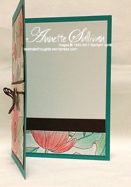 inside-the-lines-bermuda-espresso-inside