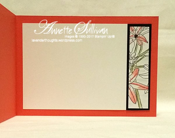 inside-the-lines-calypso-black-inside