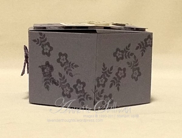 window-shopping-wisteria-box-side