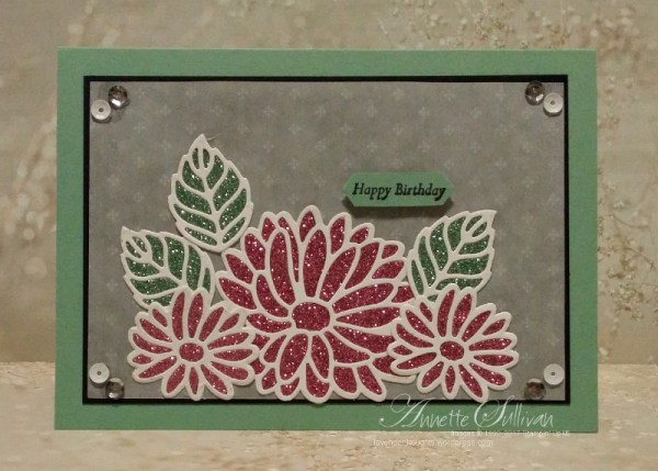 special-reason-sweet-macaron