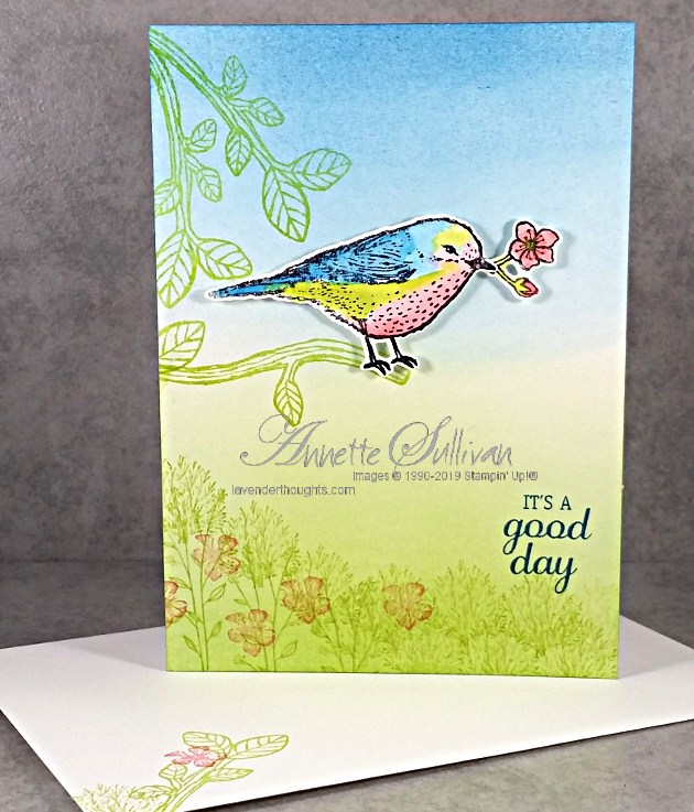 Best Birds for the Color&nbsp;Challenge