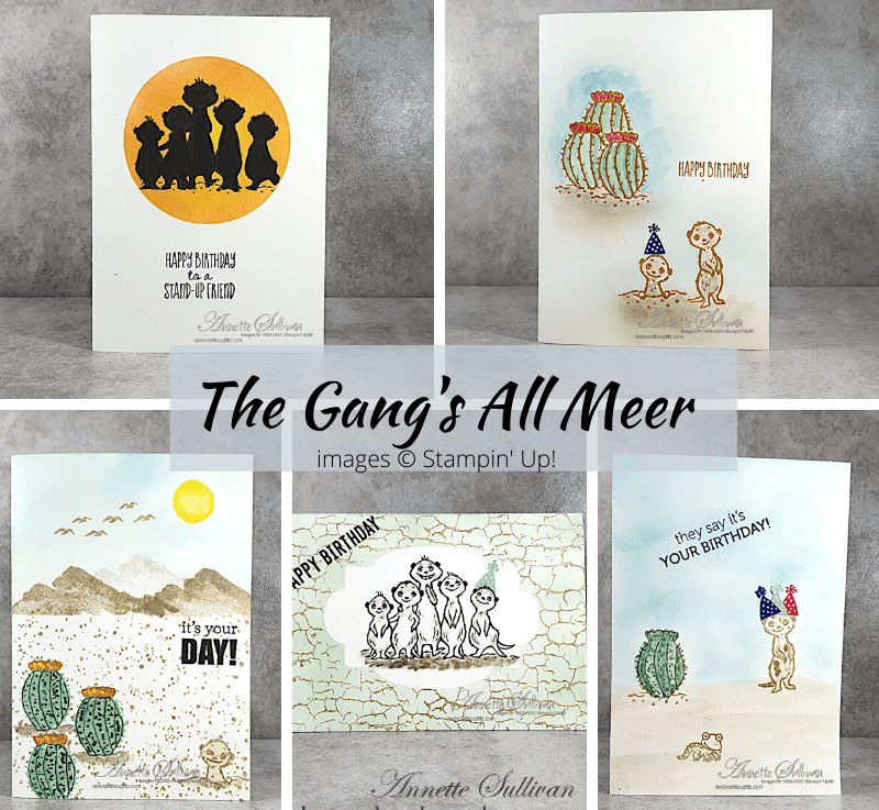 One Layer Clean and Simple Note Cards with The Gang's All&nbsp;Meer