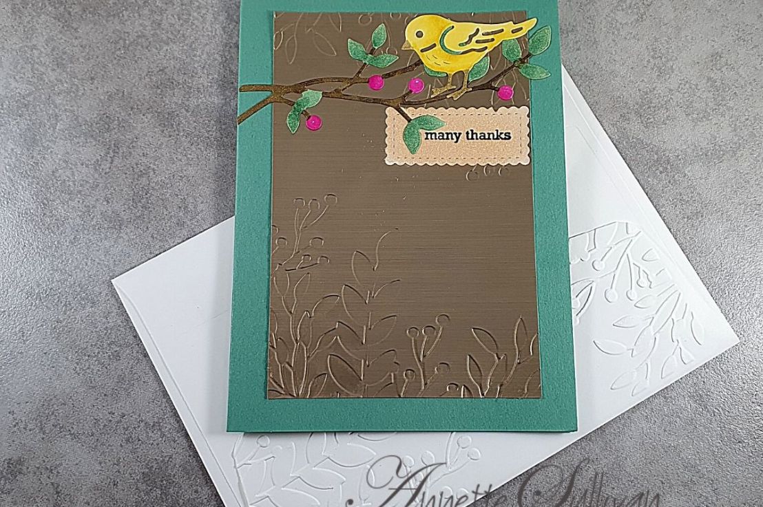 Bird on a Branch for the Splitcoaststampers Sketch&nbsp;Challenge