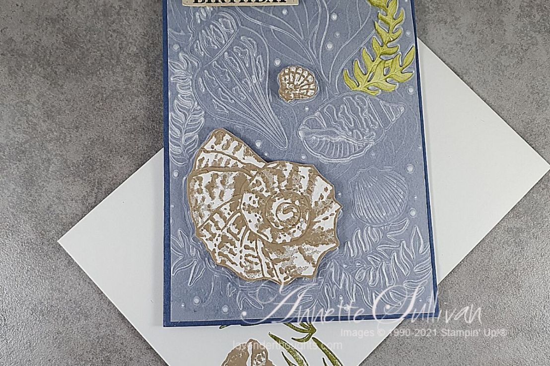 FREE PDF with Friends Are Like&nbsp;Seashells