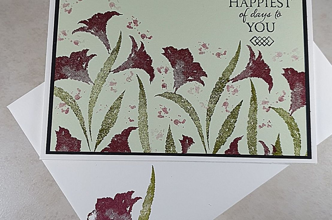 Amaryllis Abloom – beautiful&nbsp;lilies