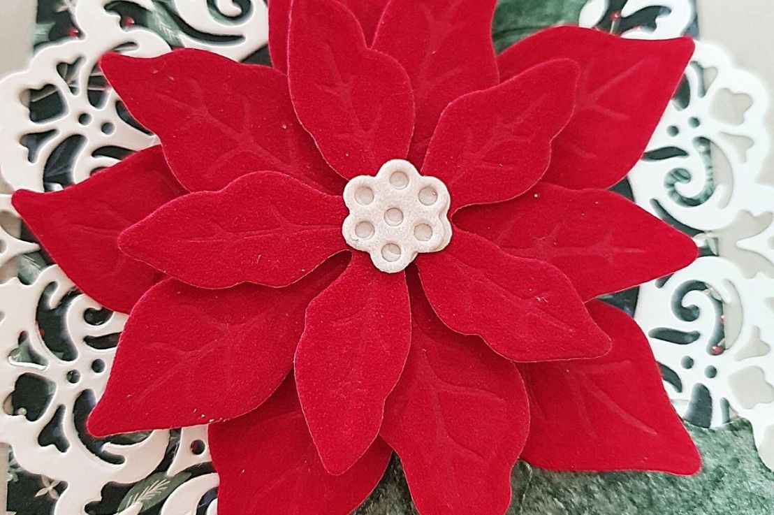 Plush Red Velvet Poinsettia for&nbsp;Christmas