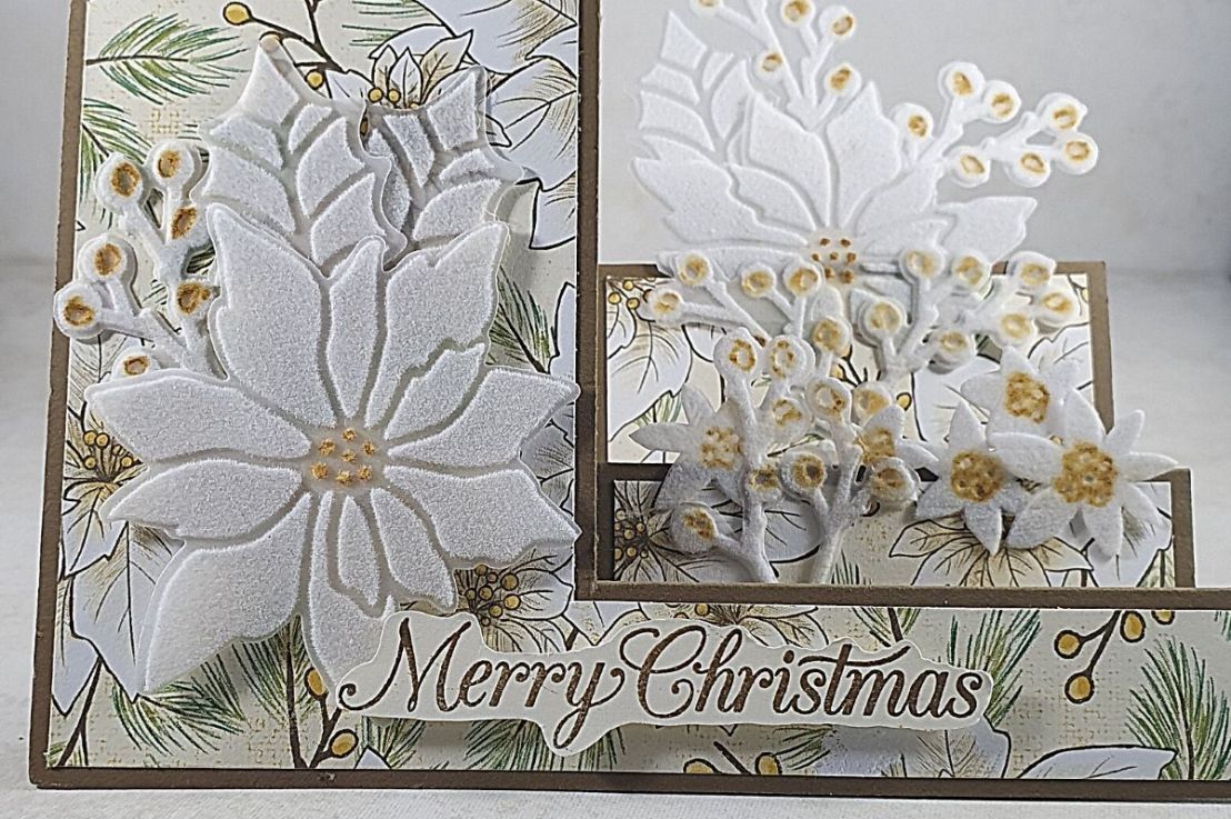 Side Step Fancy Fold Card with Poinsettia&nbsp;Petals