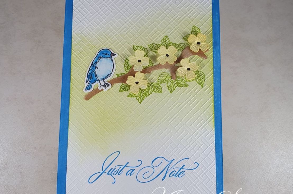 Seasonal Branches with an azure&nbsp;bird